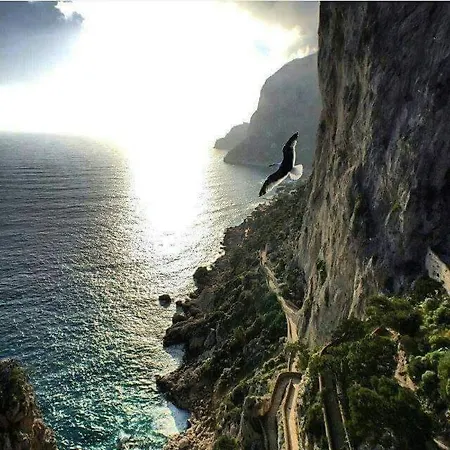 La Terrazza Sul Blu Di Semesterbostad Capri