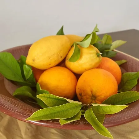 بيت للعطل La Terrazza Sul Blu Di