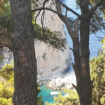La Terrazza Sul Blu Di *