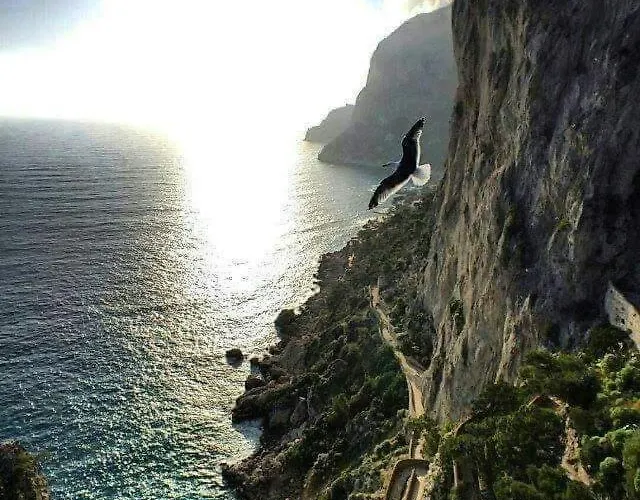 La Terrazza Sul Blu Di Semesterbostad Capri